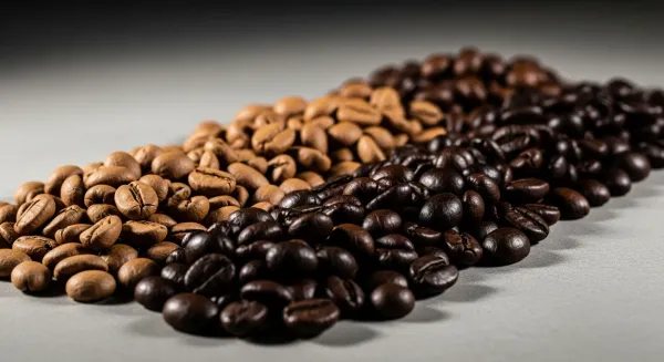 Fila de granos de café ordenados de tueste claro a oscuro.